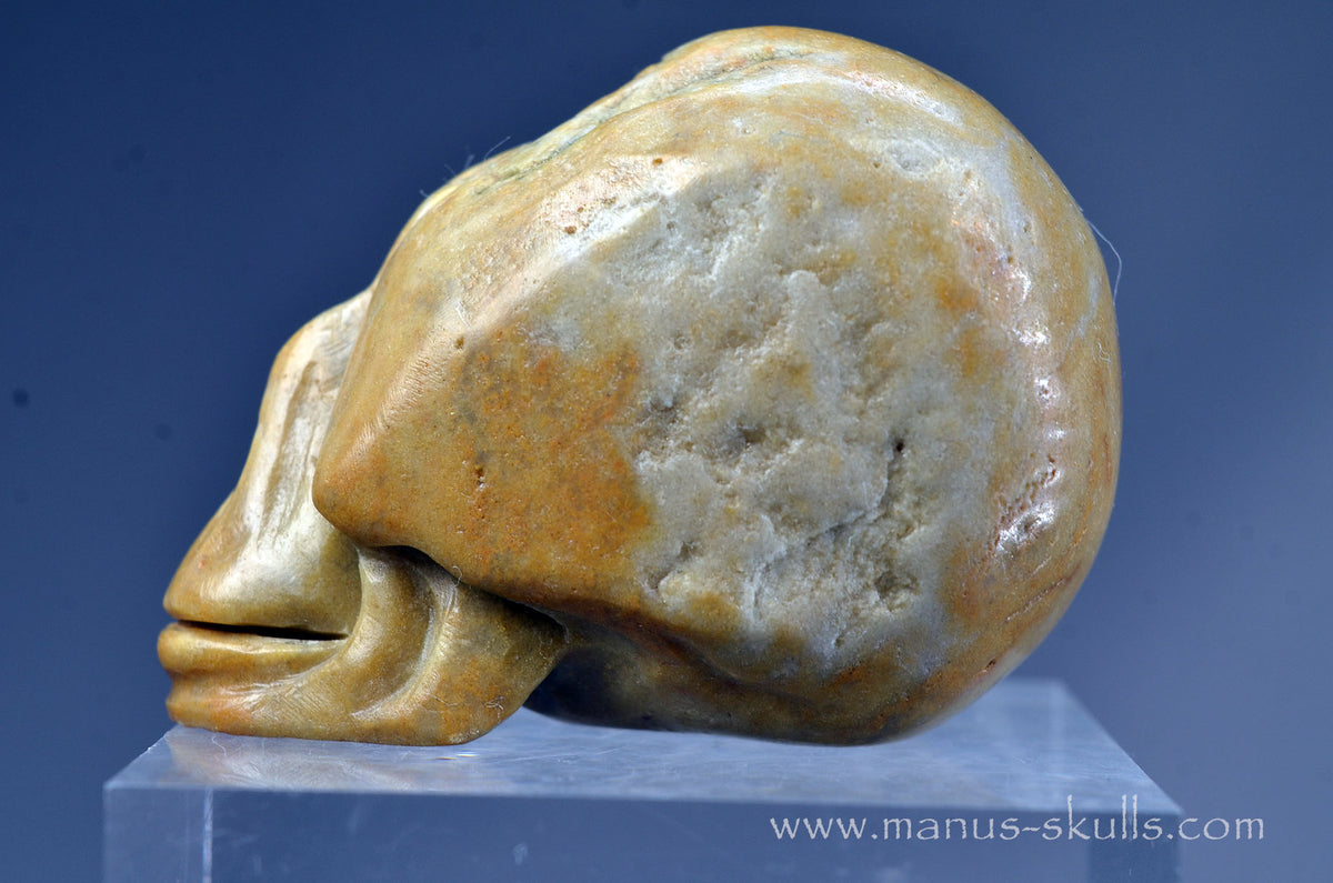 Sarsen Stone Skull