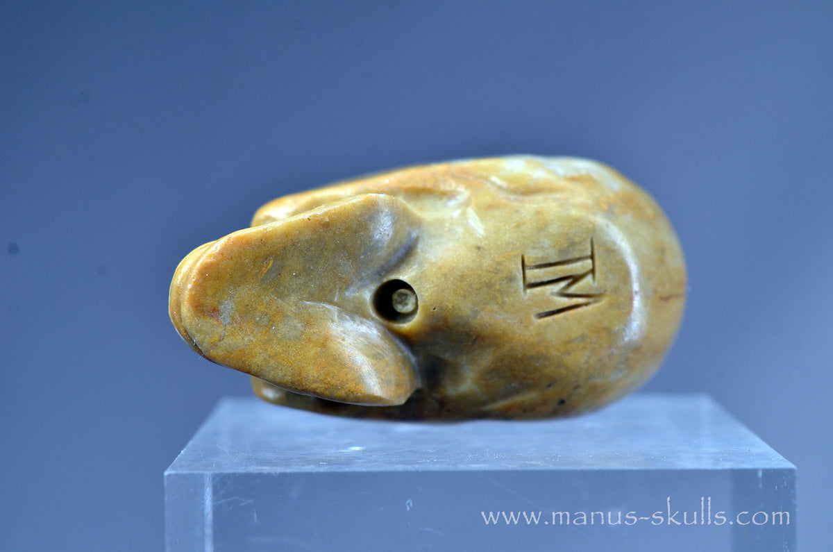 Sarsen Stone Skull
