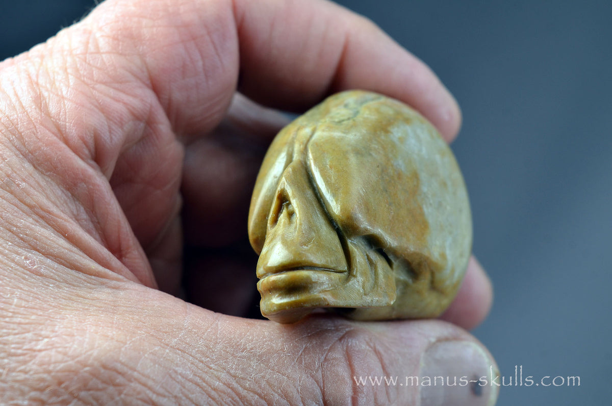 Sarsen Stone Skull