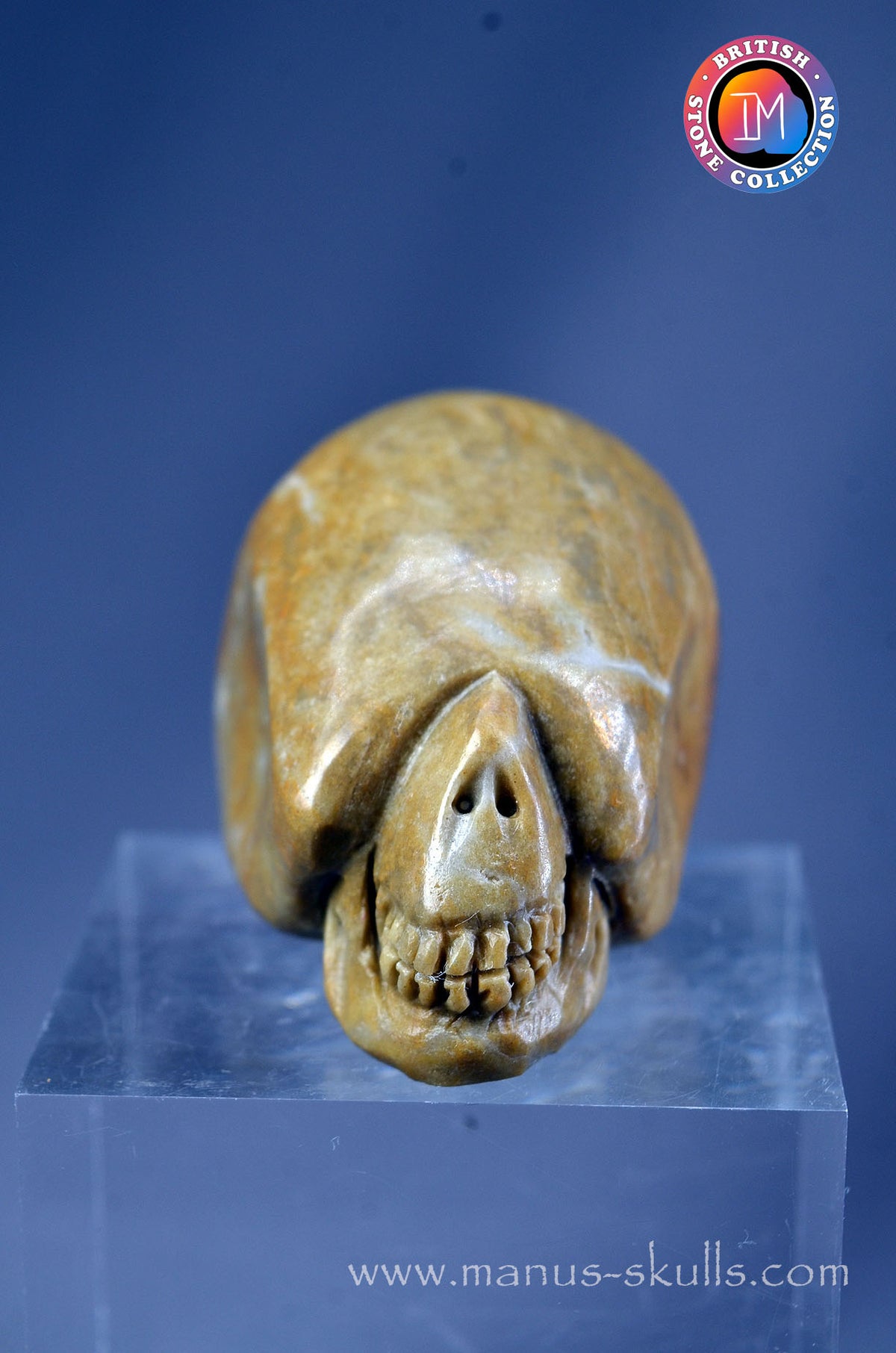 Sarsen Stone Skull
