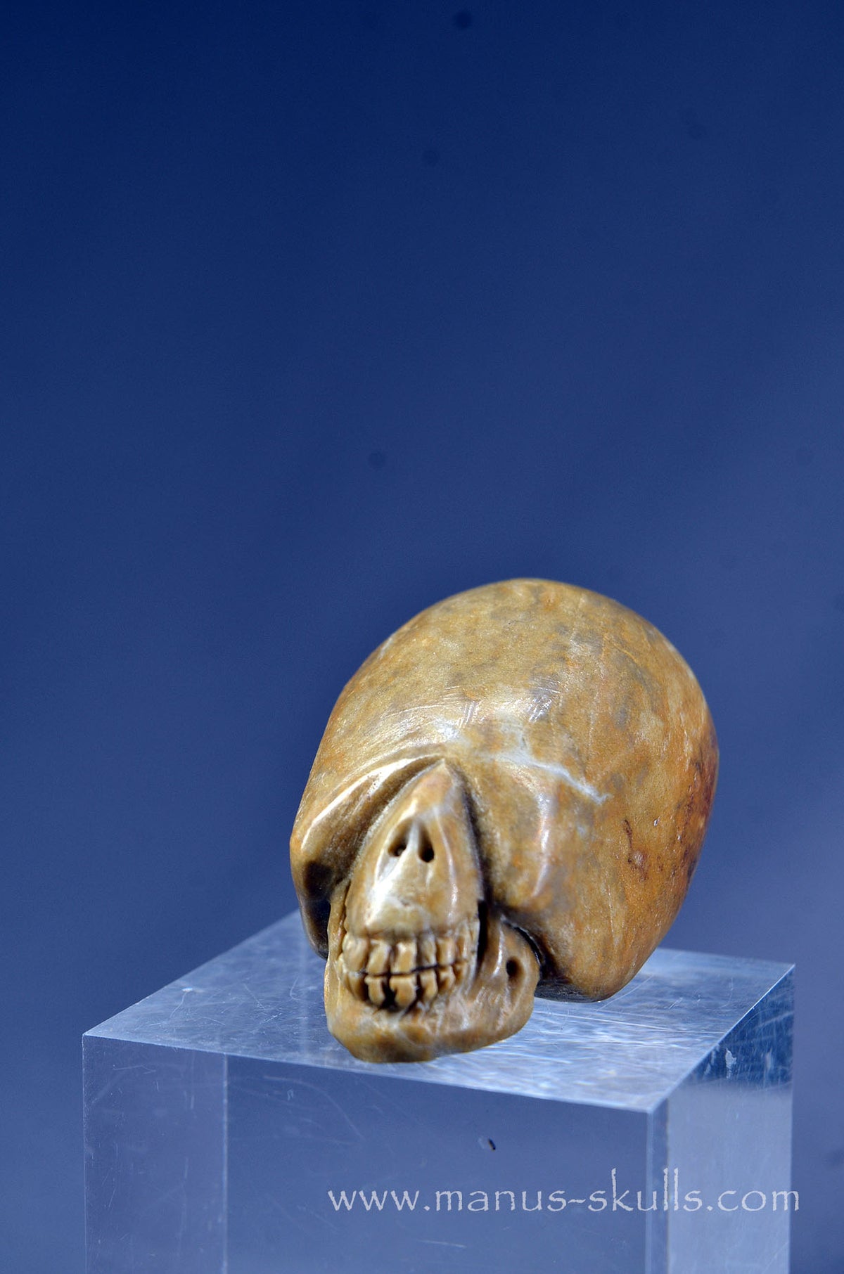 Sarsen Stone Skull