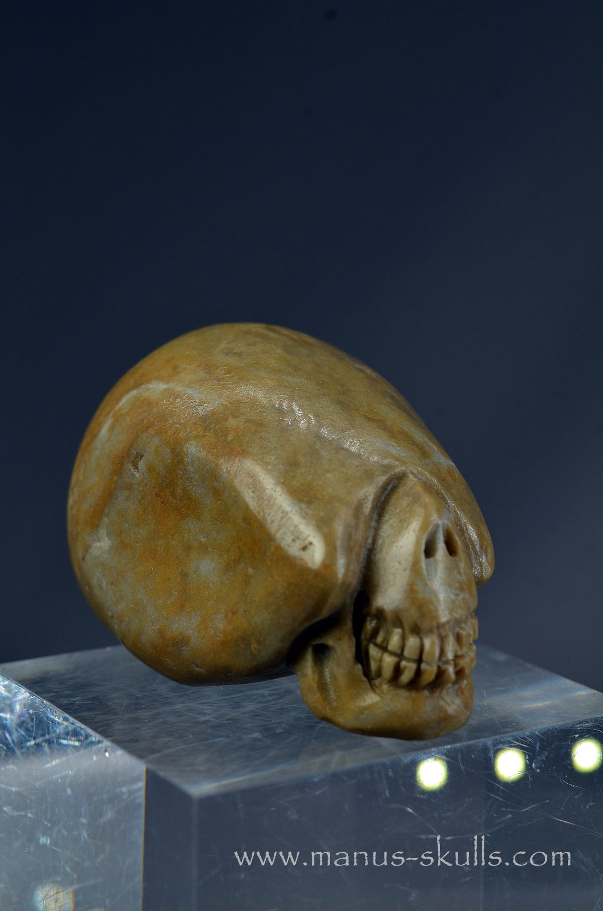 Sarsen Stone Skull