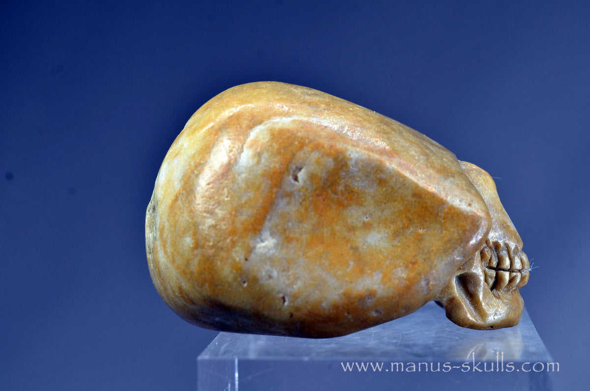 Sarsen Stone Skull