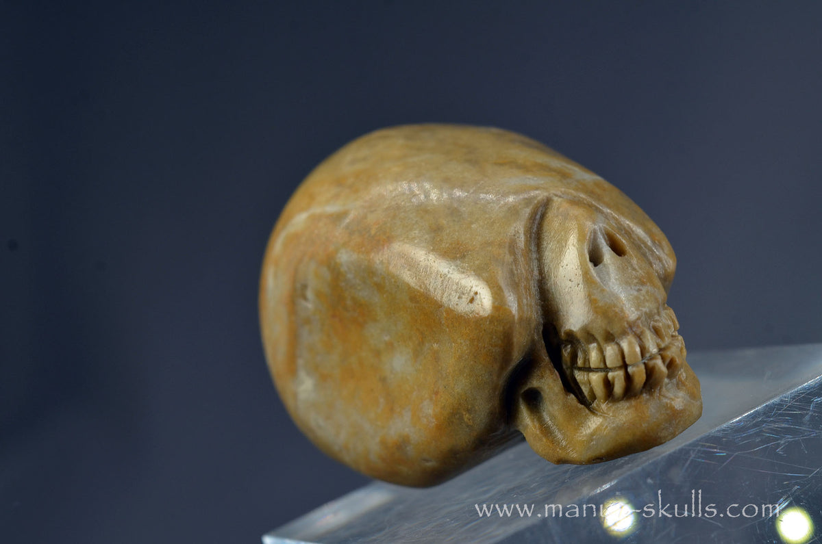 Sarsen Stone Skull