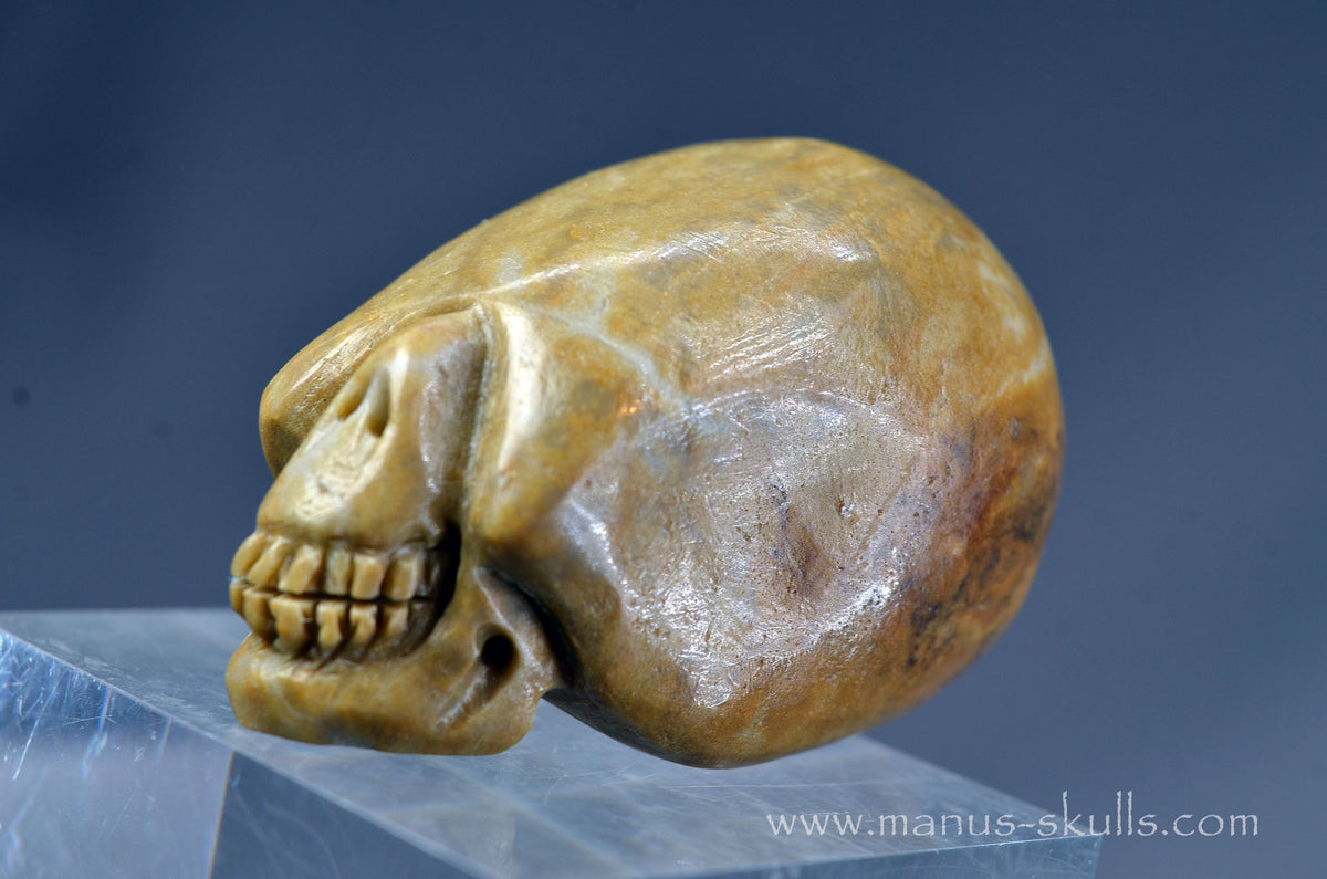 Sarsen Stone Skull
