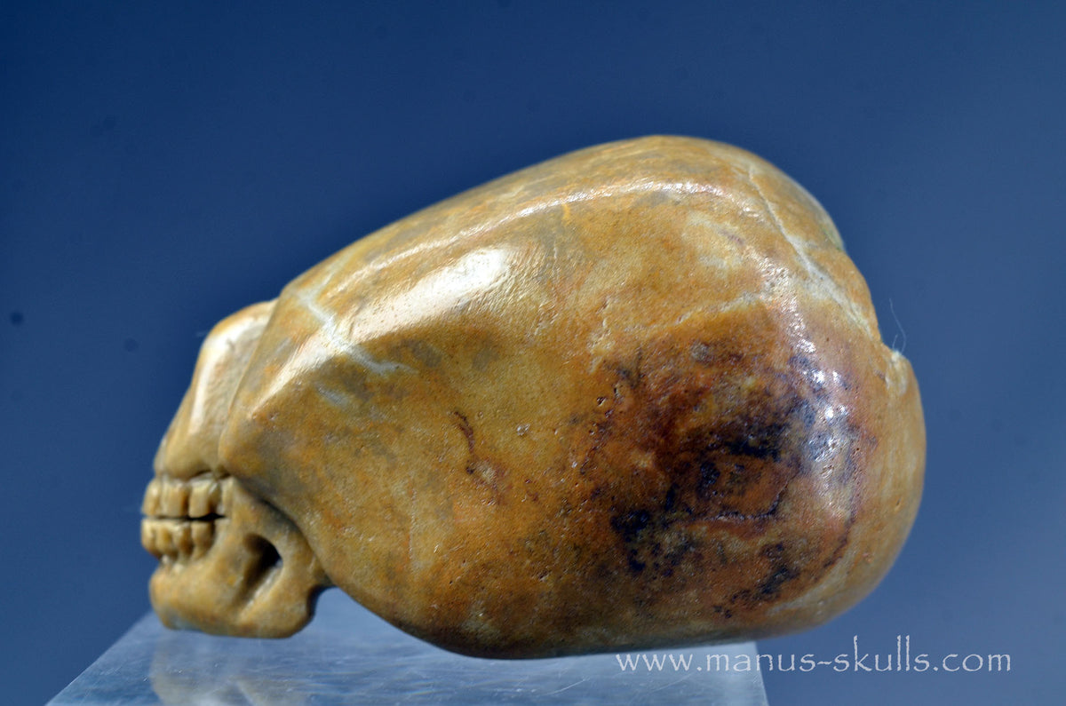 Sarsen Stone Skull