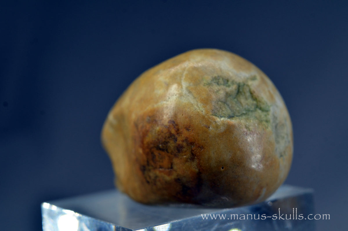 Sarsen Stone Skull