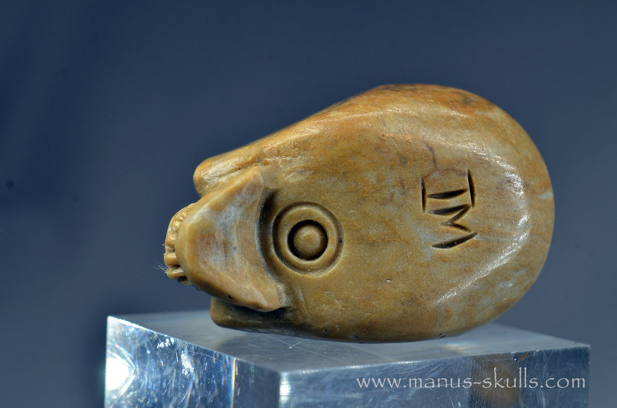Sarsen Stone Skull
