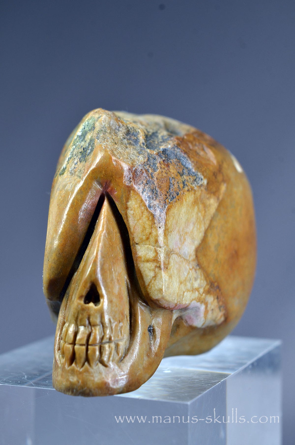 Sarsen Stone Skull