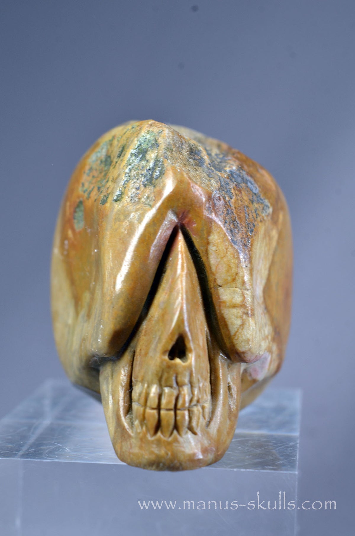Sarsen Stone Skull