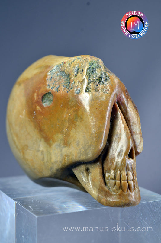 Sarsen Stone Skull