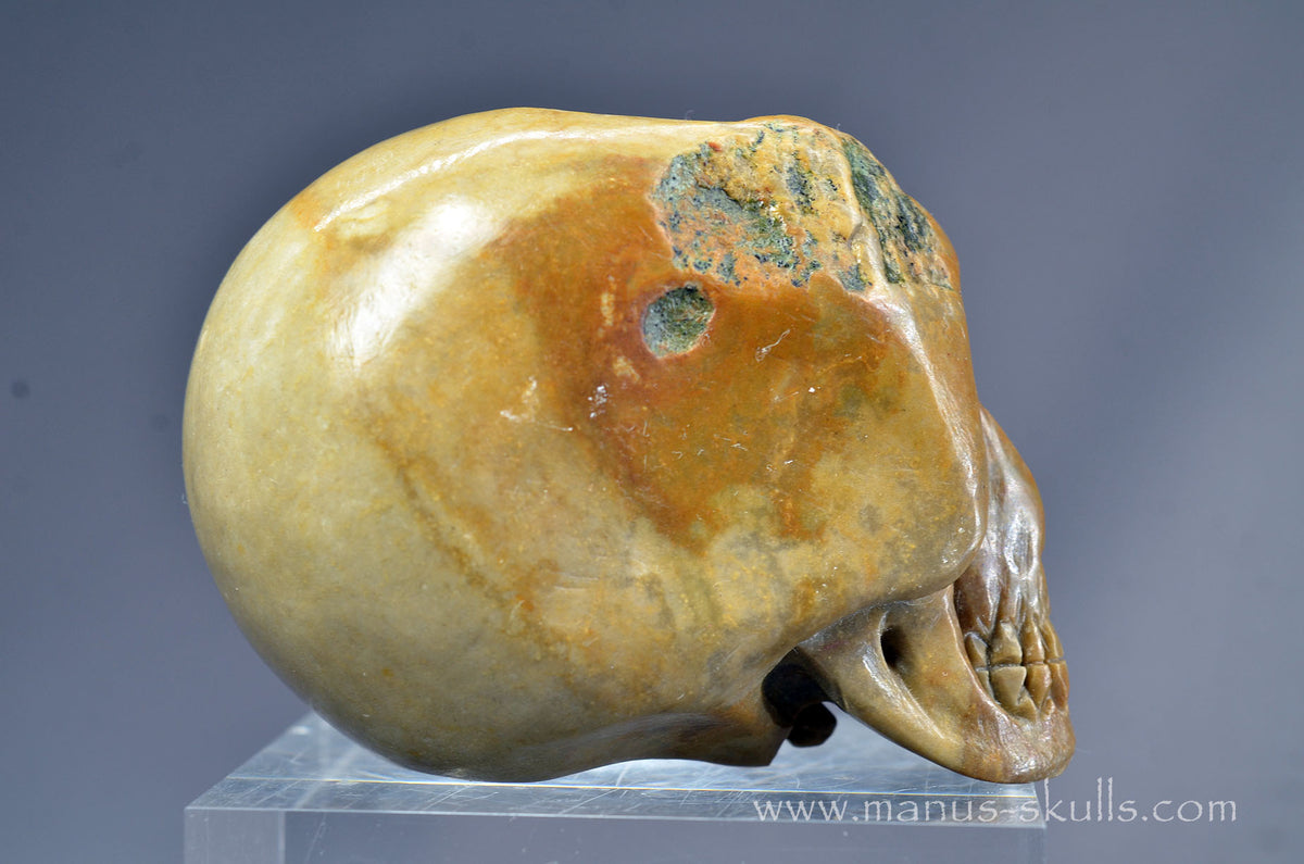 Sarsen Stone Skull