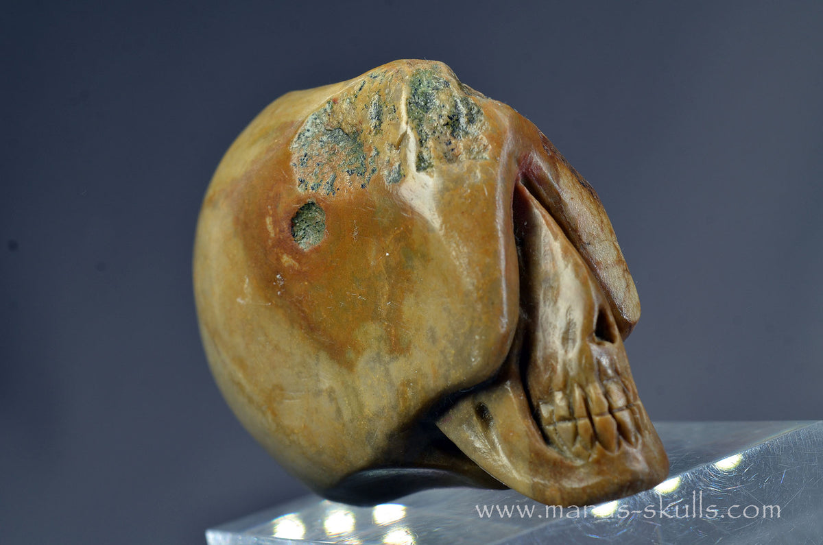 Sarsen Stone Skull