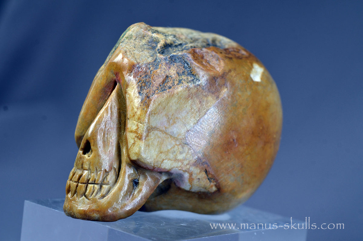 Sarsen Stone Skull