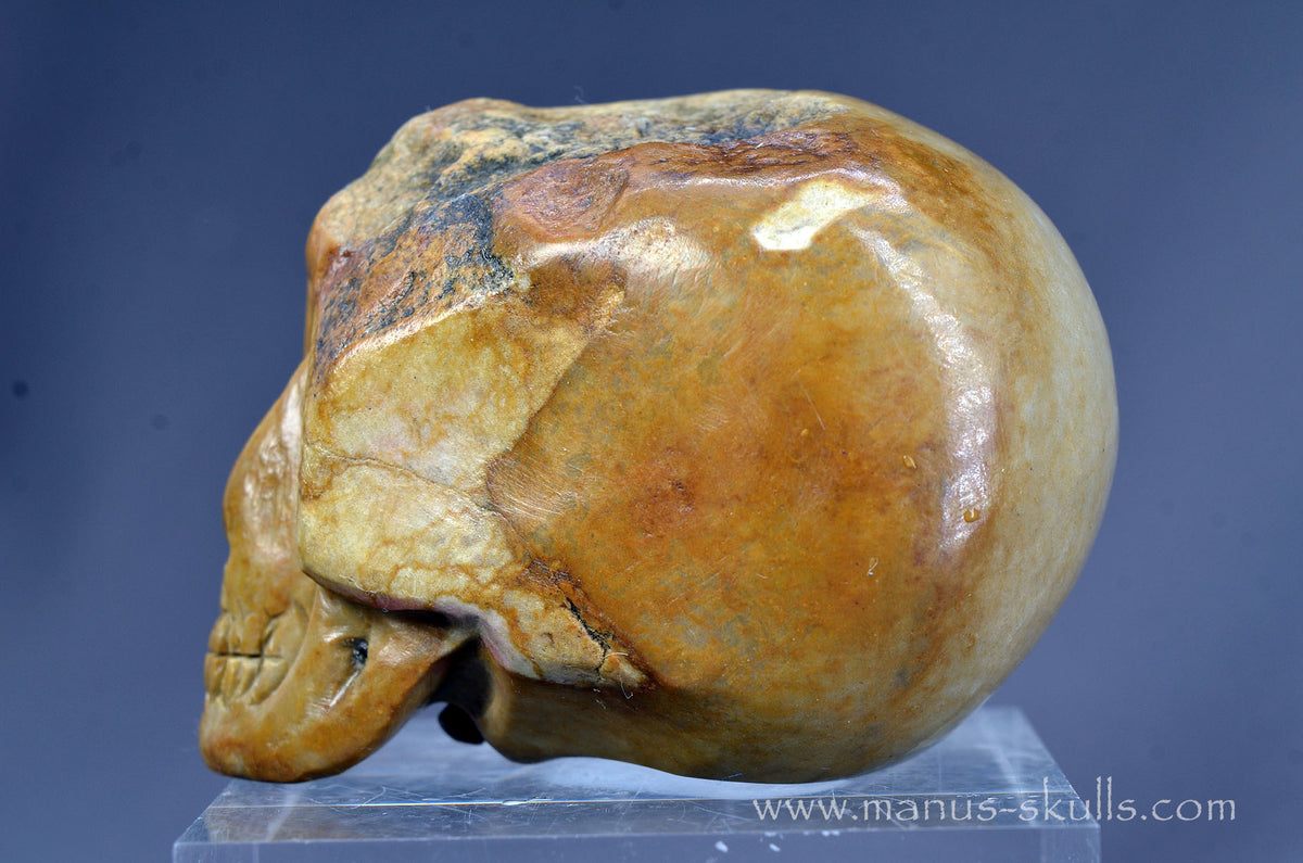 Sarsen Stone Skull