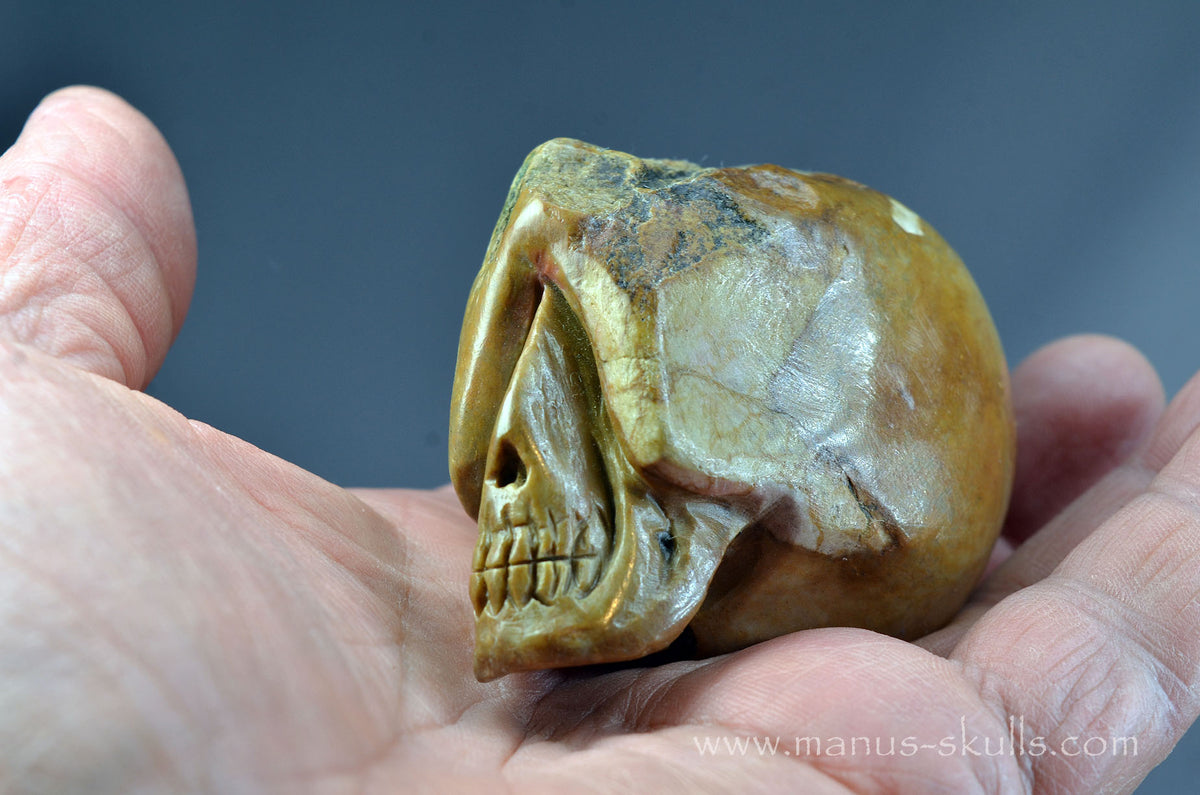 Sarsen Stone Skull