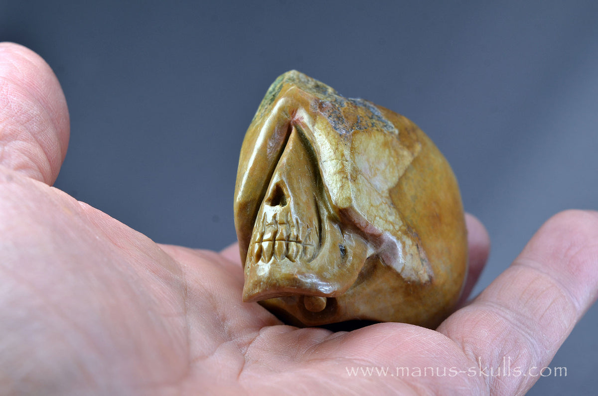 Sarsen Stone Skull