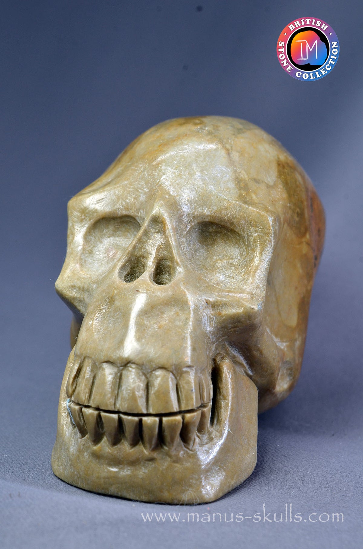 Sarsen Stone Skull