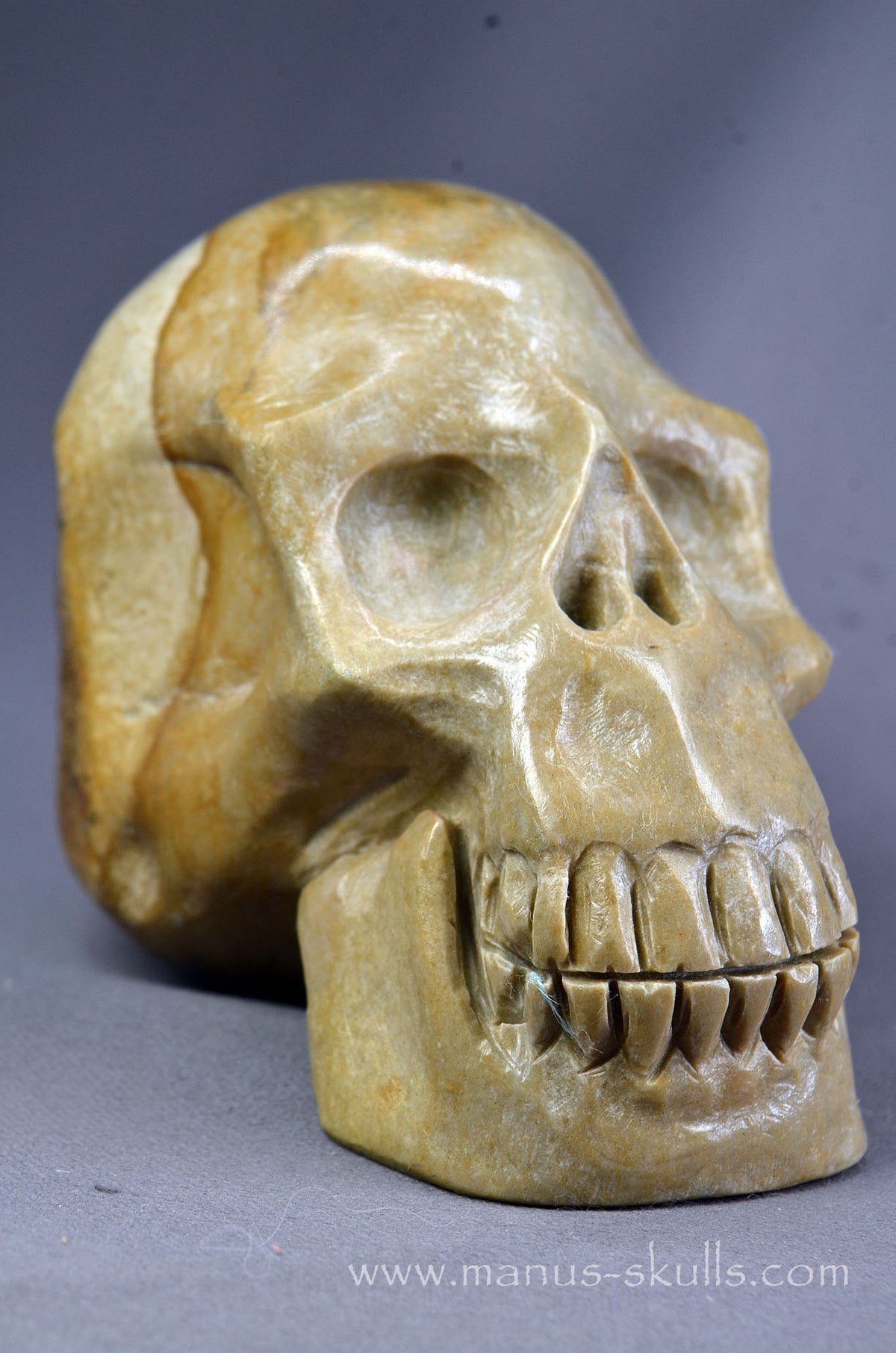 Sarsen Stone Skull