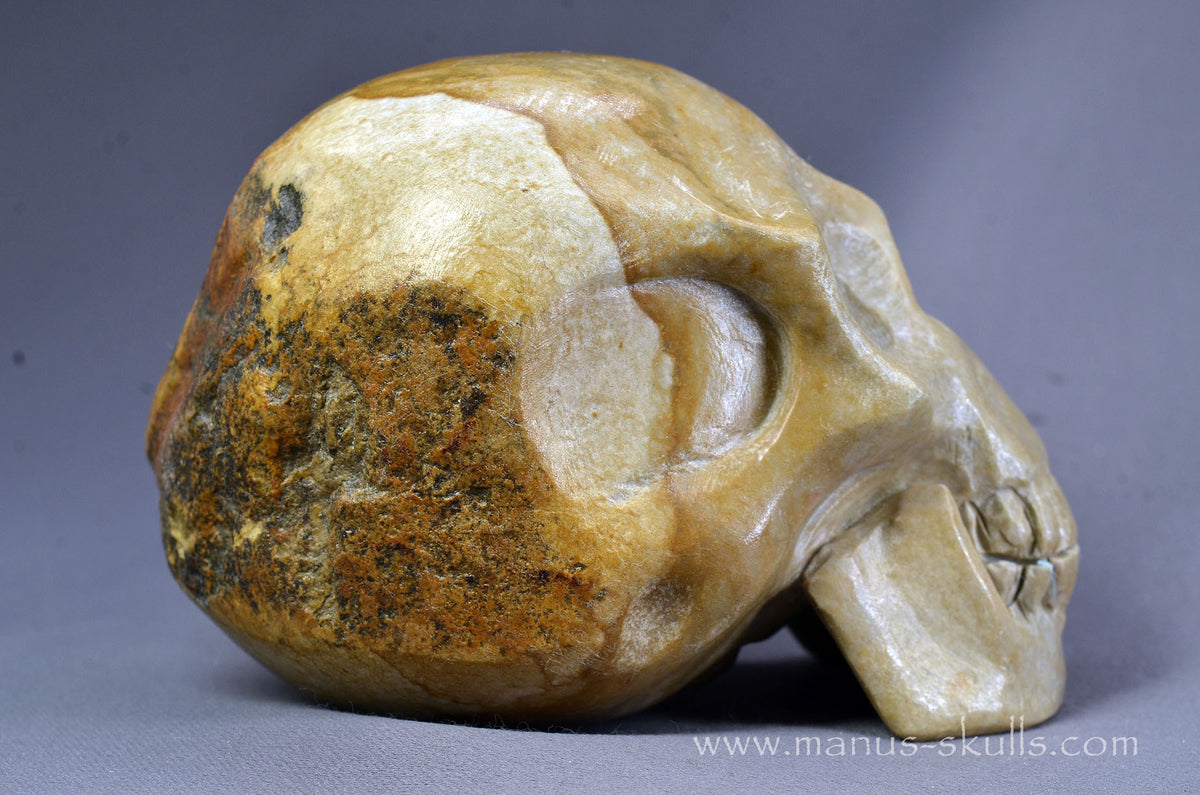 Sarsen Stone Skull