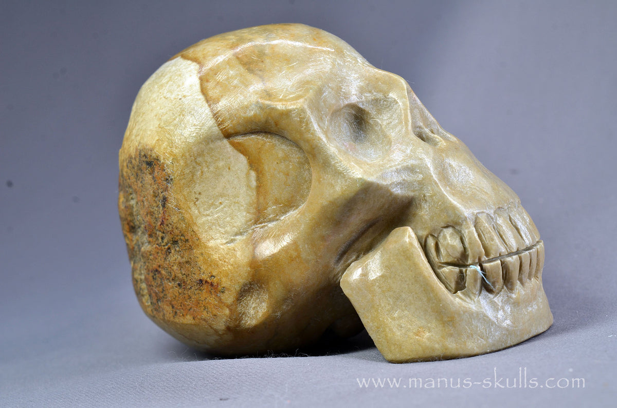 Sarsen Stone Skull