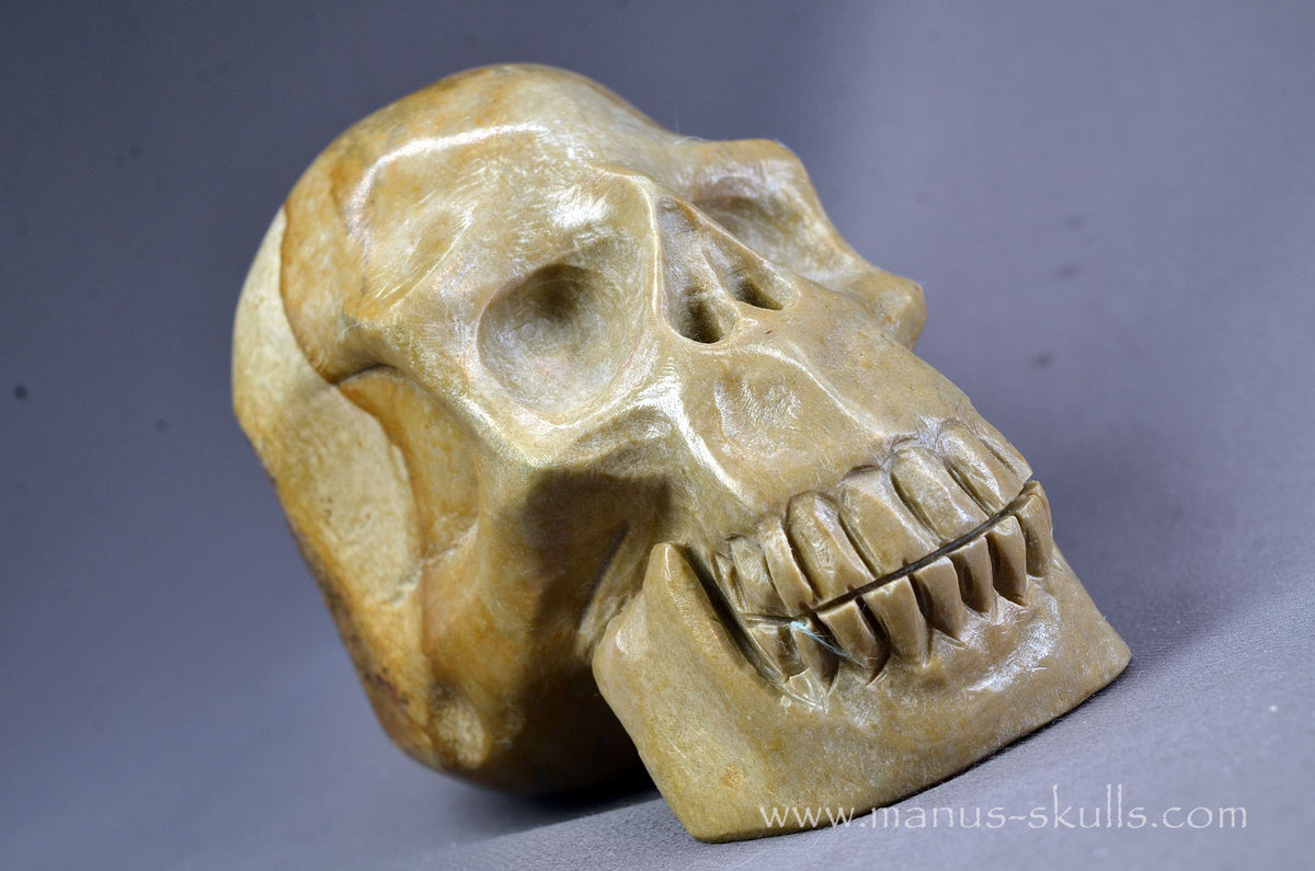 Sarsen Stone Skull