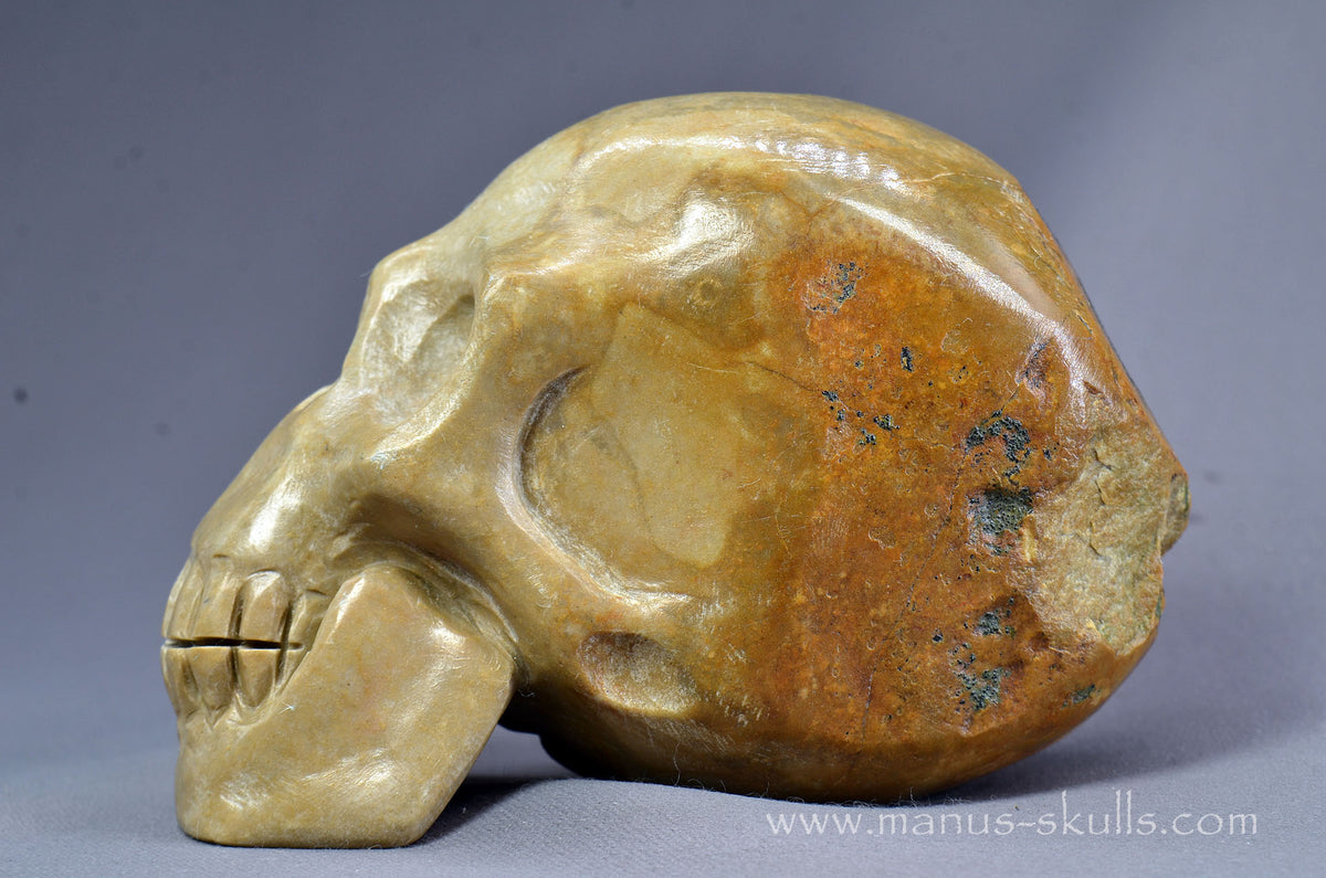 Sarsen Stone Skull