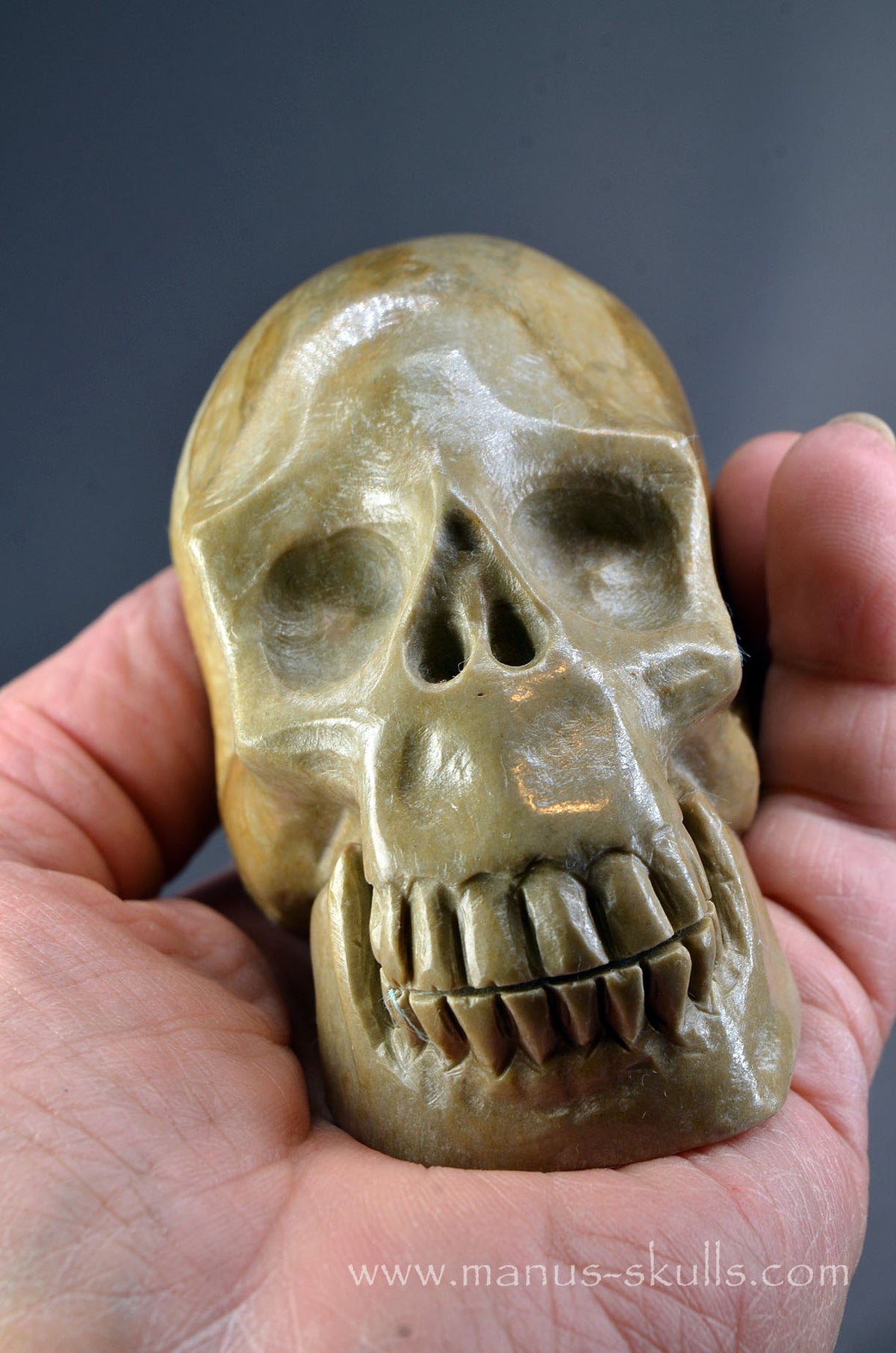Sarsen Stone Skull