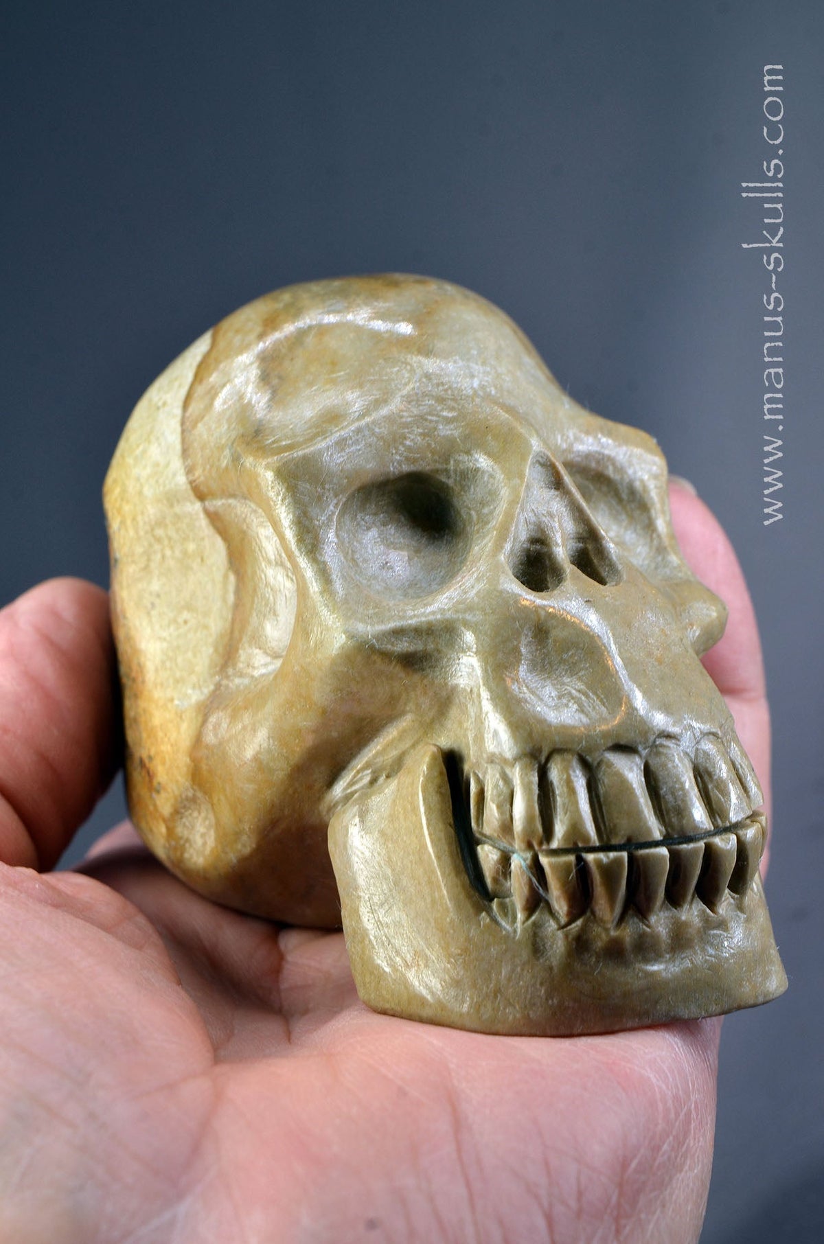 Sarsen Stone Skull