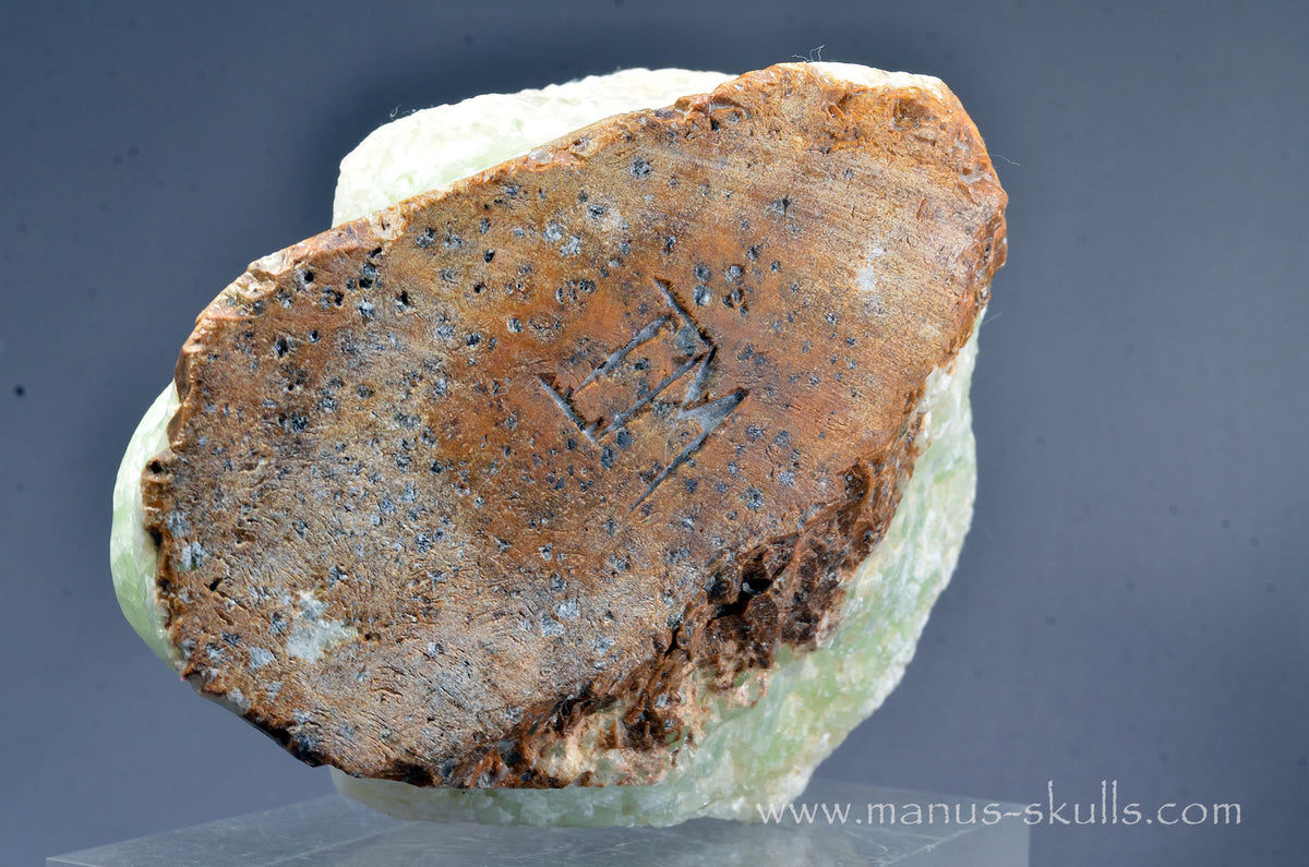 Large Visokalcite Skull Face (7 Minerals from Pyramids of Bosnia-Herzegovina)
