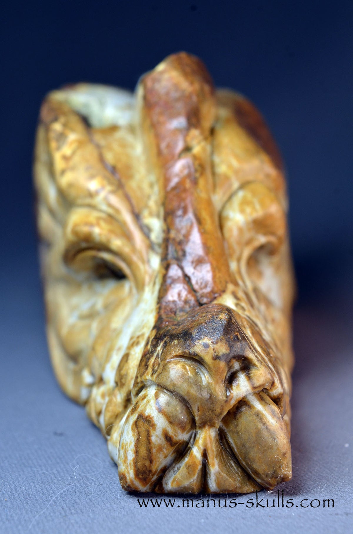 Sarsens stone Dragon (Stonehenge Stone)