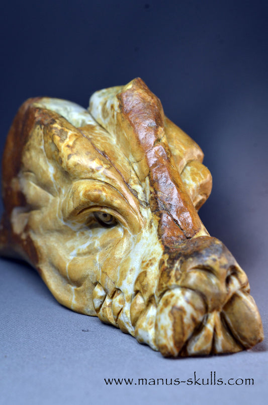 Sarsens stone Dragon (Stonehenge Stone)