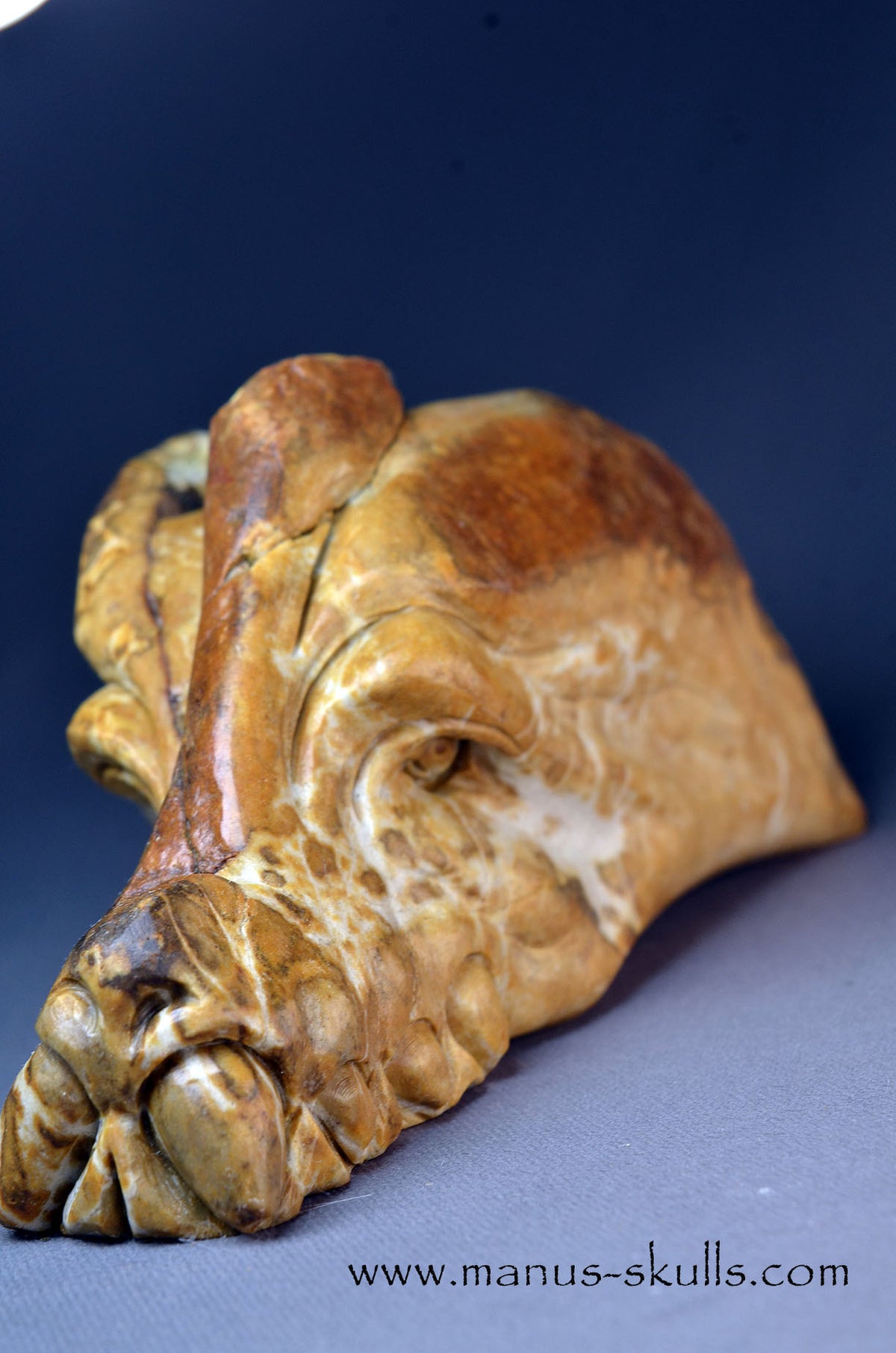 Sarsens stone Dragon (Stonehenge Stone)
