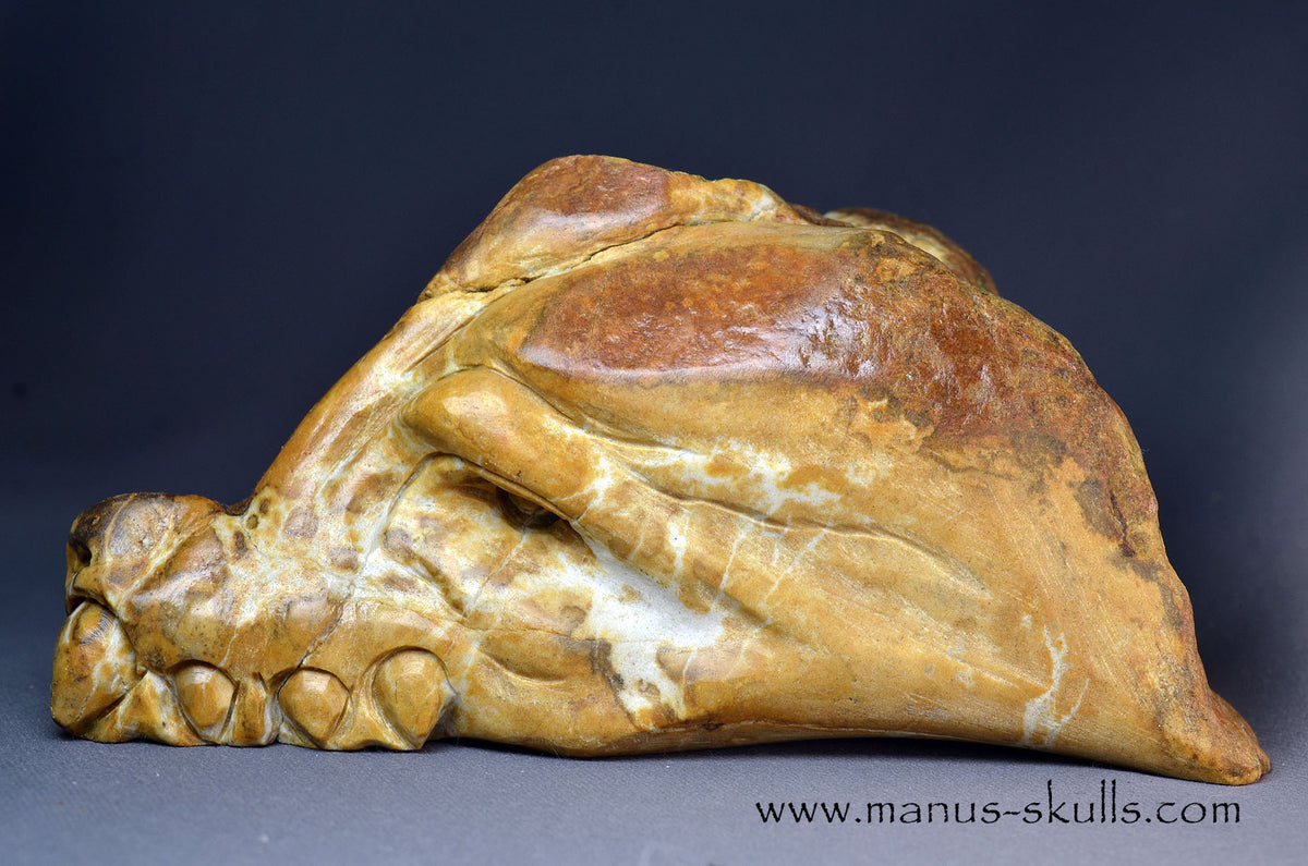 Sarsens stone Dragon (Stonehenge Stone)