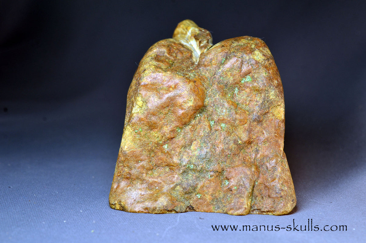 Sarsens stone Dragon (Stonehenge Stone)