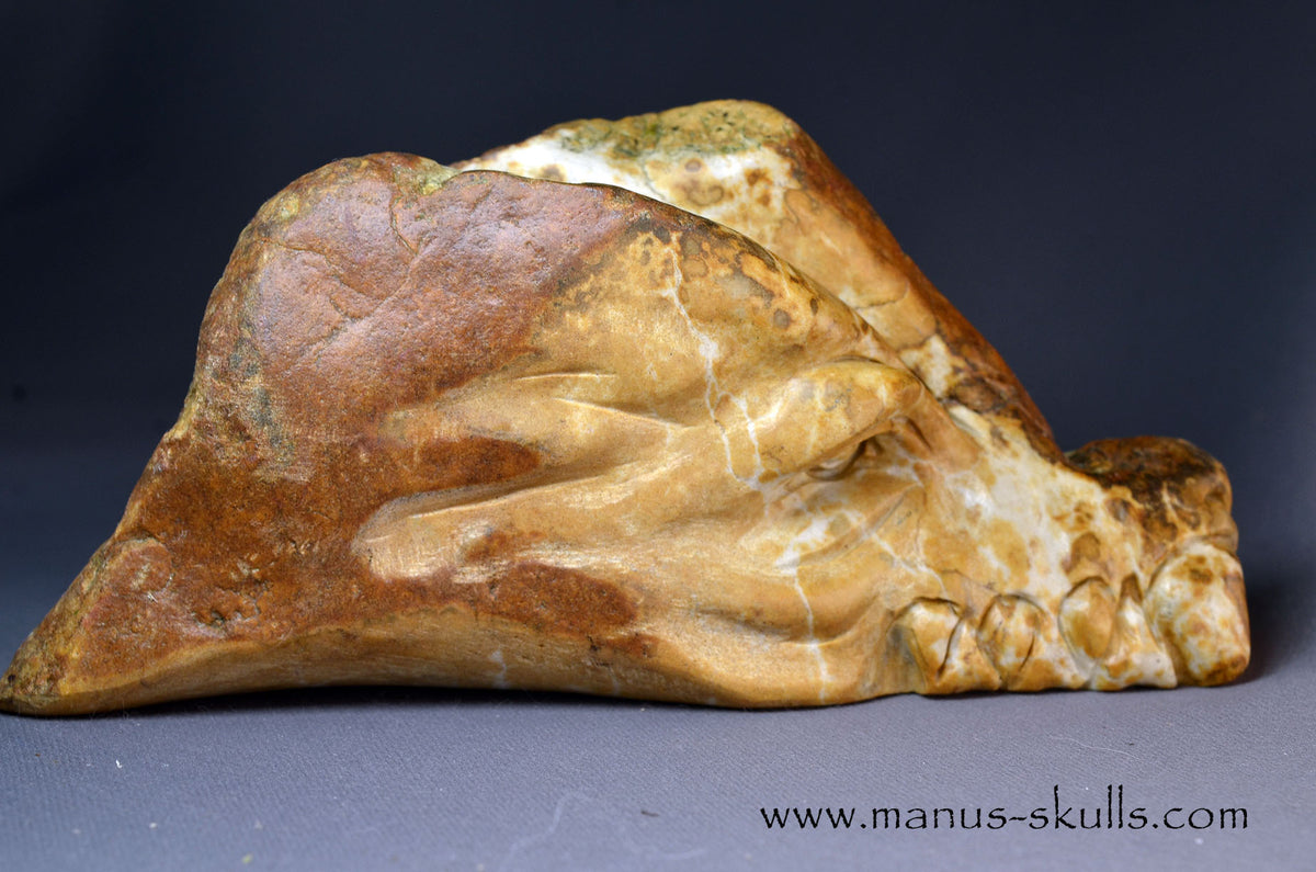 Sarsens stone Dragon (Stonehenge Stone)
