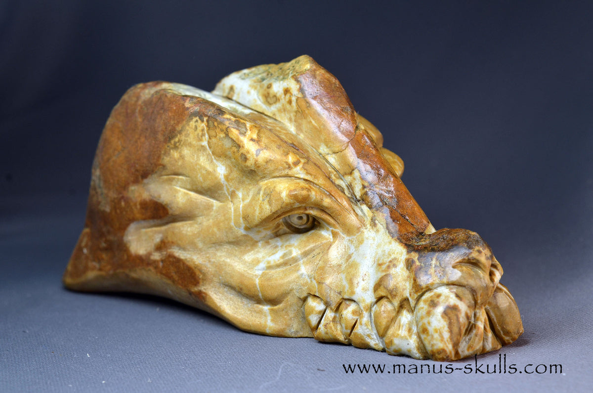 Sarsens stone Dragon (Stonehenge Stone)