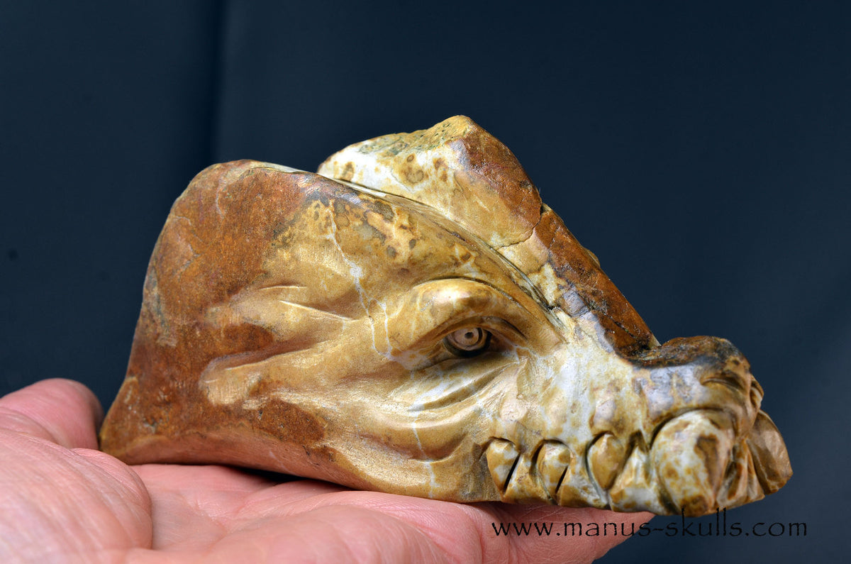 Sarsens stone Dragon (Stonehenge Stone)