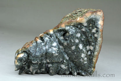 Large Preseli Bluestone Skull.