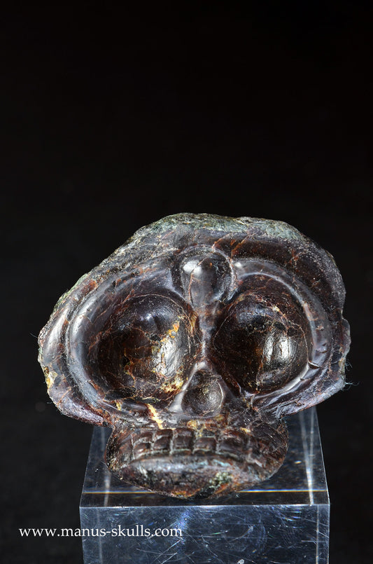 Manus skulls unique Crystal Carvings handmade skulls dragons pendants preseli bluestone tribals spiritual meaning wand Unicorn .. garnet