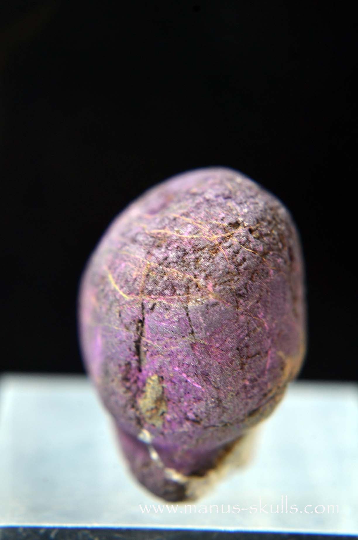 Purpurite Evolian #07