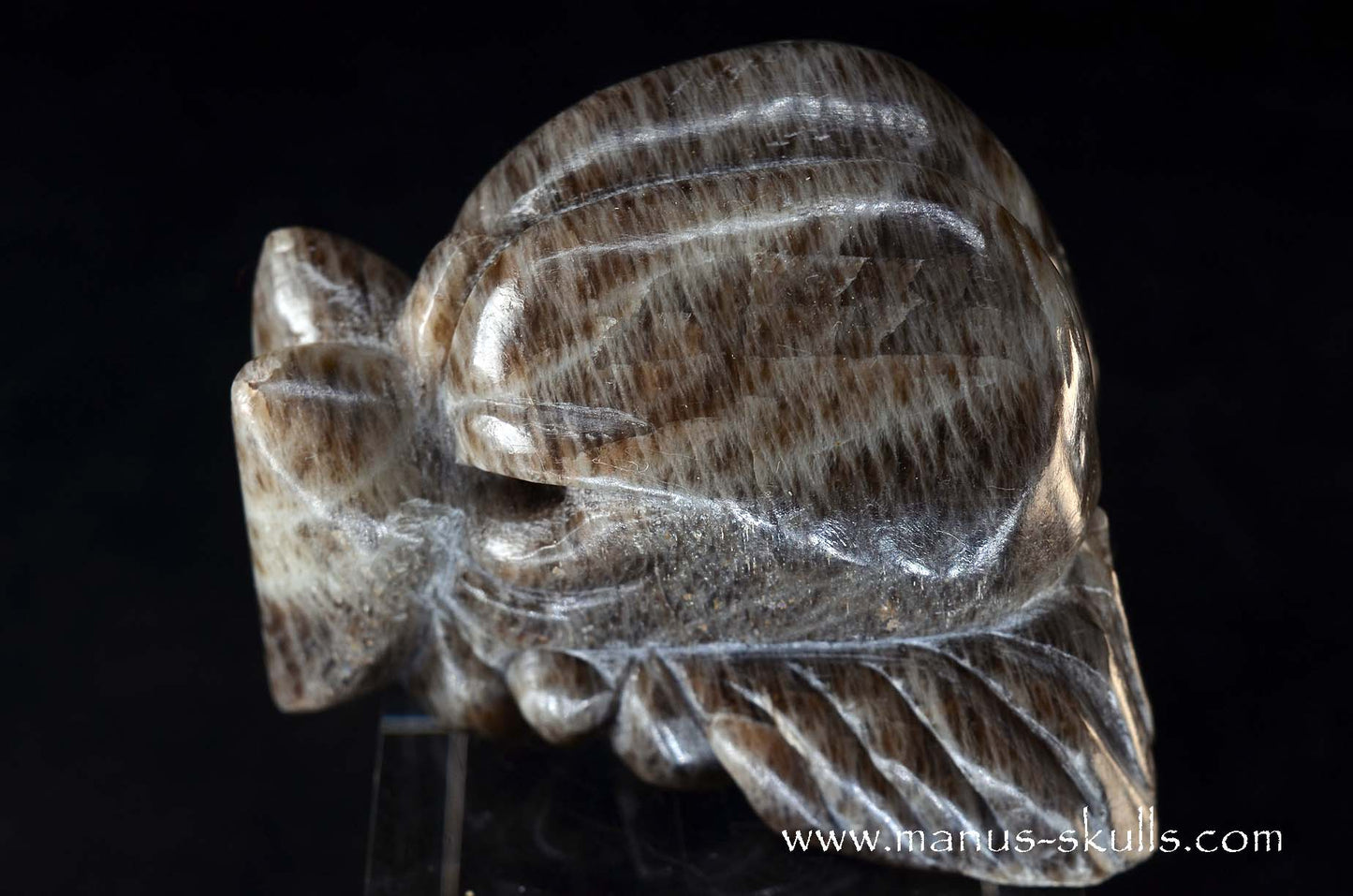 Black Greenland Moonstone ~ Seal Stone Dragon