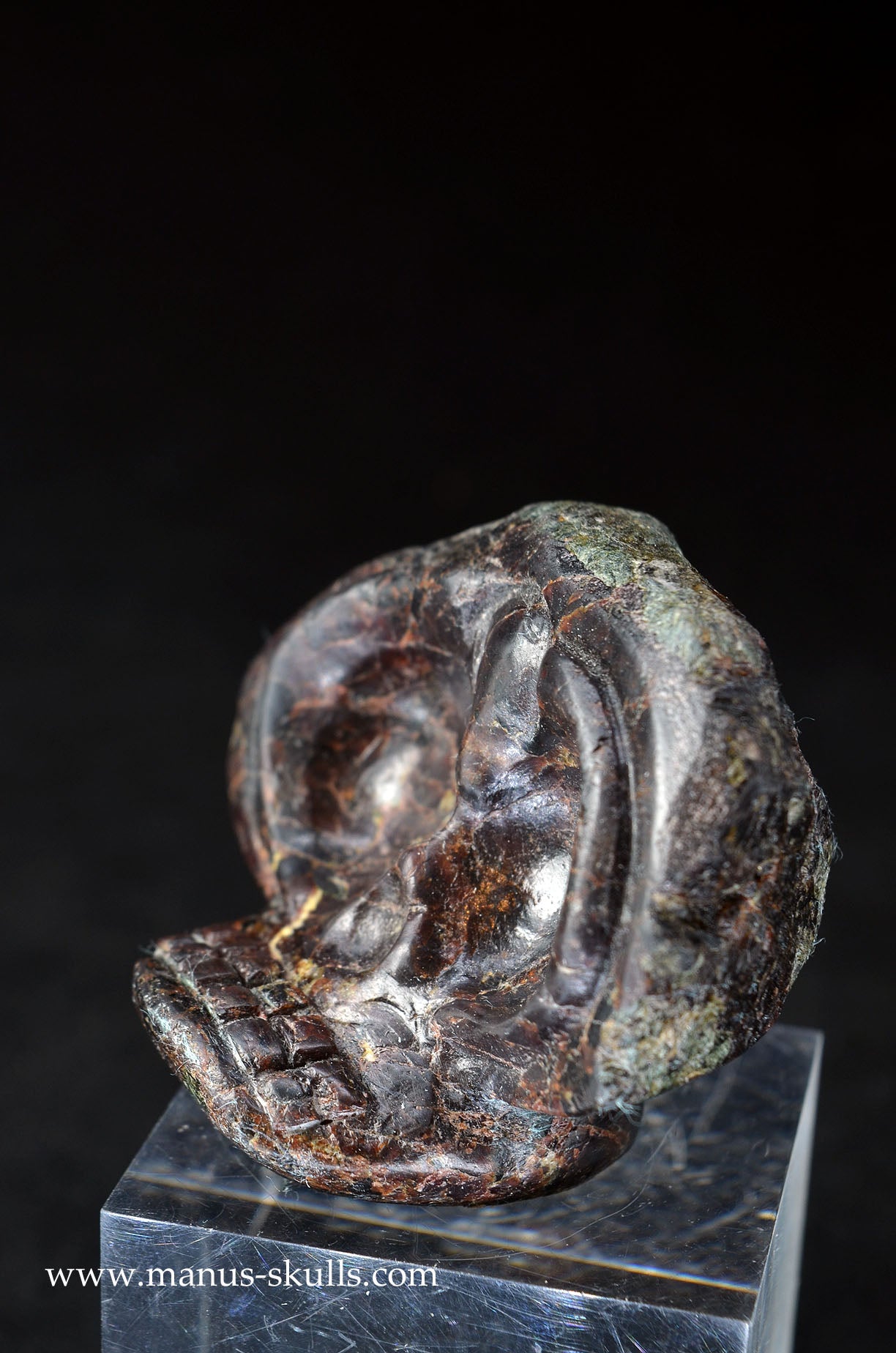 Manus skulls unique Crystal Carvings handmade skulls dragons pendants preseli bluestone tribals spiritual meaning wand Unicorn .. garnet