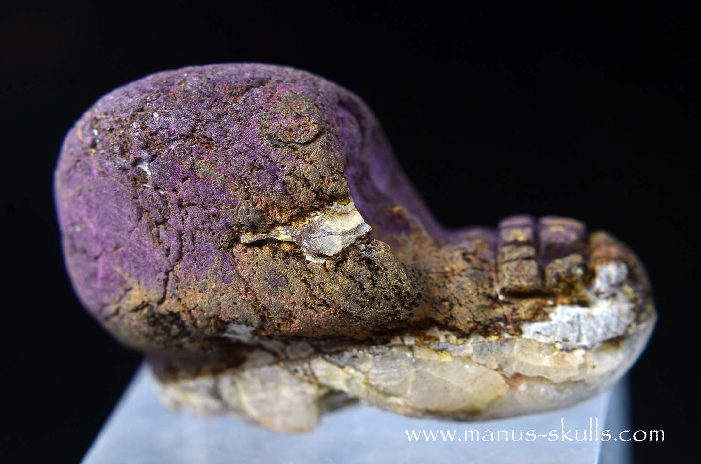 Purpurite Evolian #07