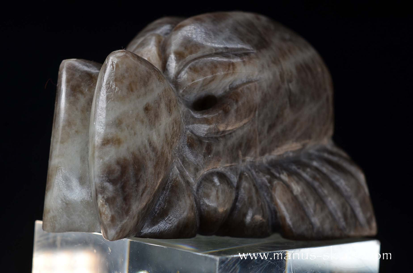 Black Greenland Moonstone ~ Seal Stone Dragon