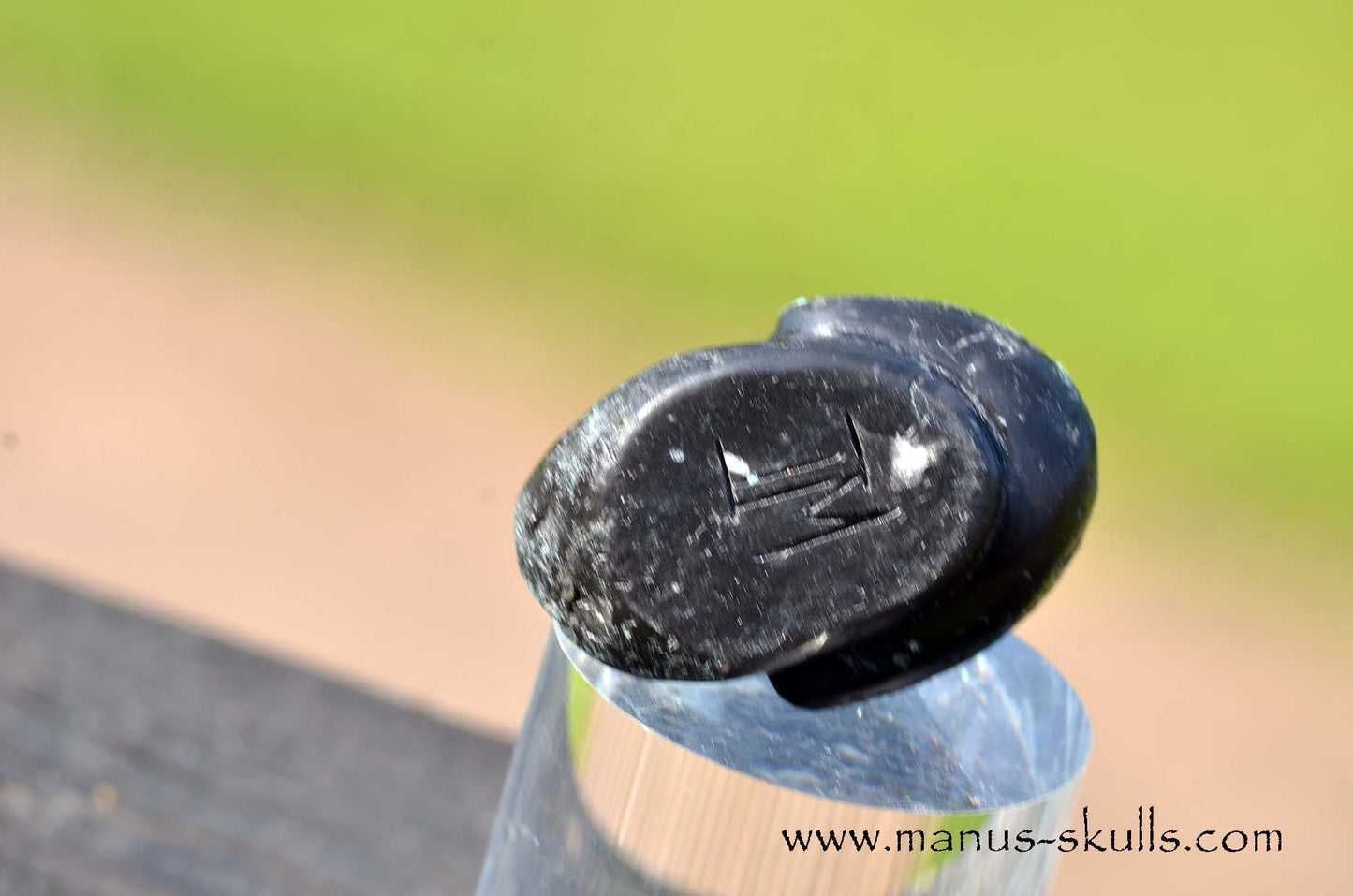 Agni Manitite Evolian #10