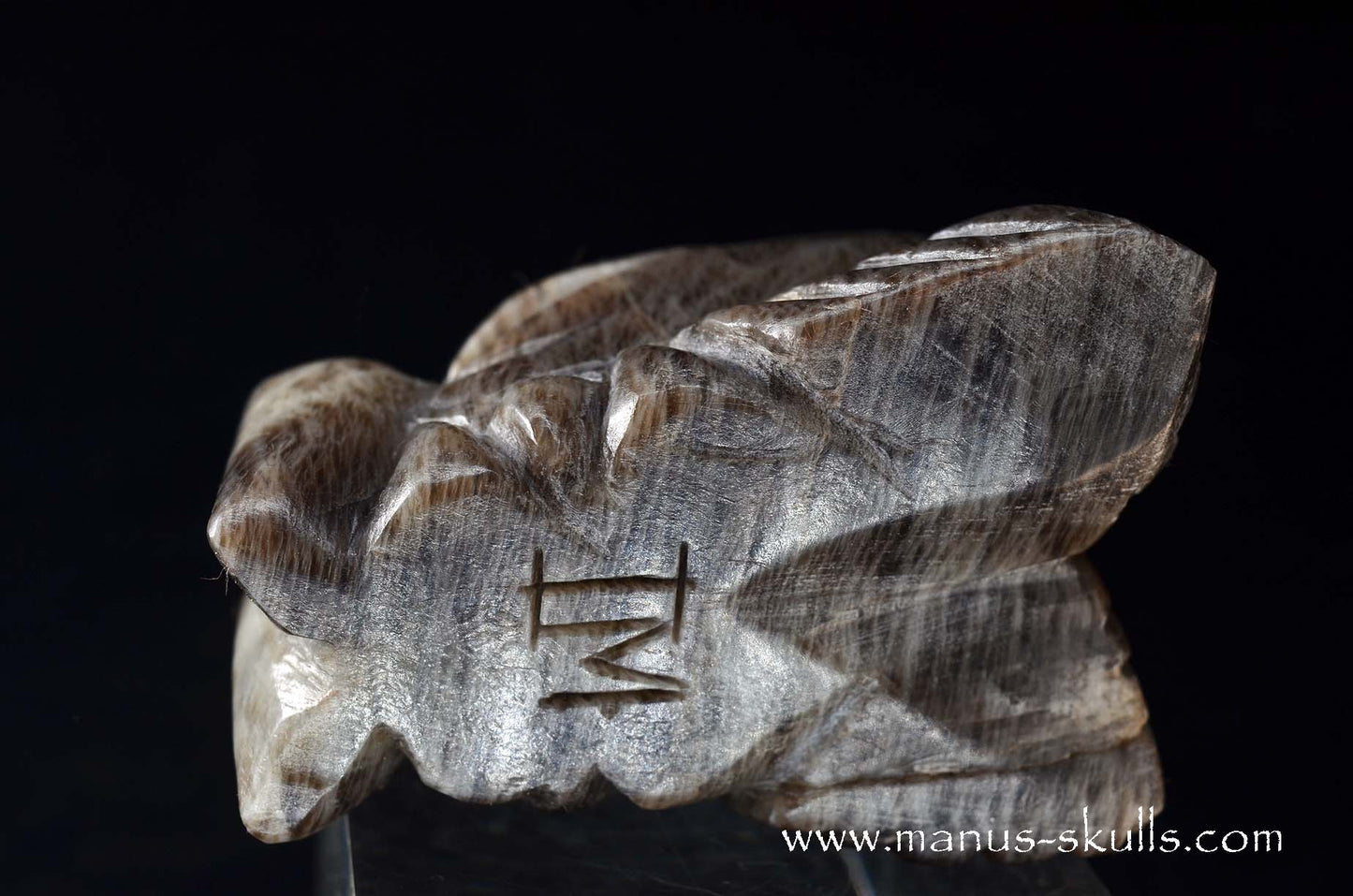 Black Greenland Moonstone ~ Seal Stone Dragon