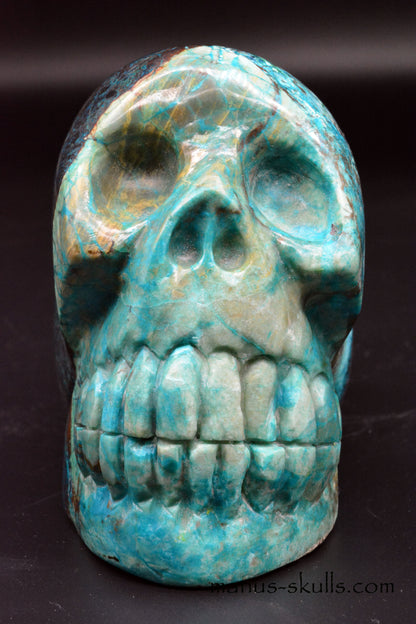 Shattuckite, Chrysocolla Skull