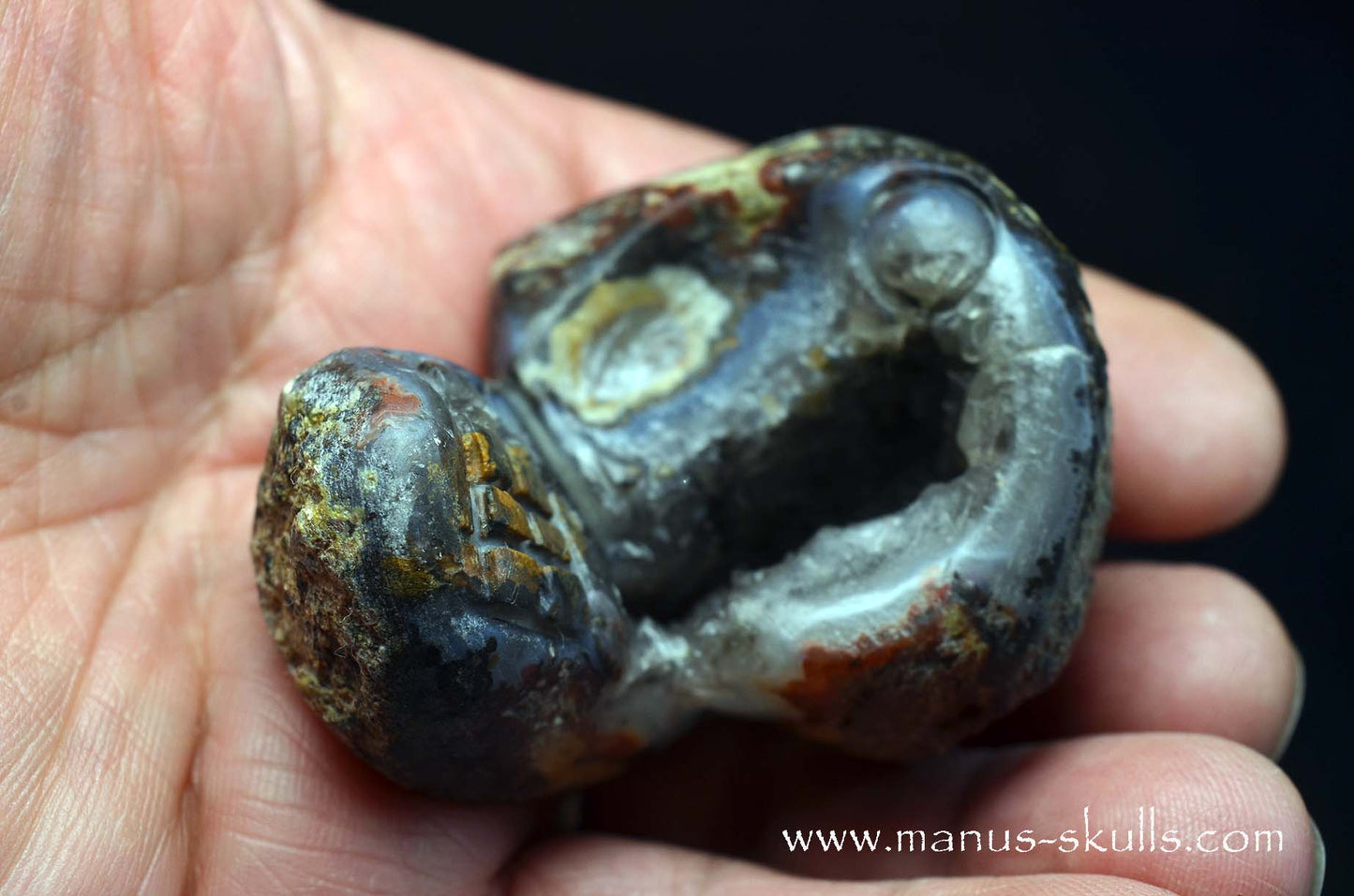 Agate Geode Evolian #11