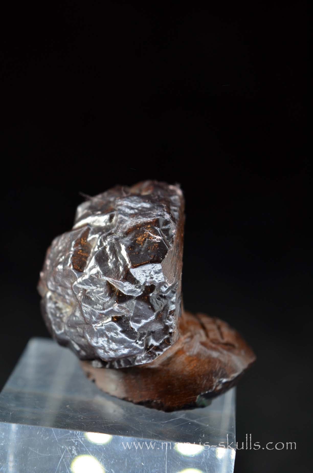 Prophecy Stone Evolian #05